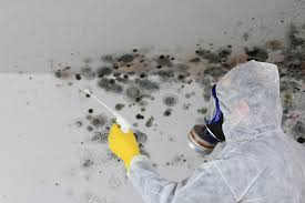 Best Mold Prevention Services  in Linden, NJ